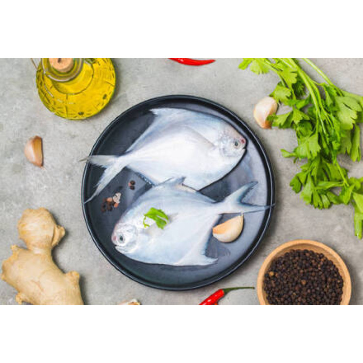 Cleaned Pomfret-White Large / ആവോലി  - 400gm