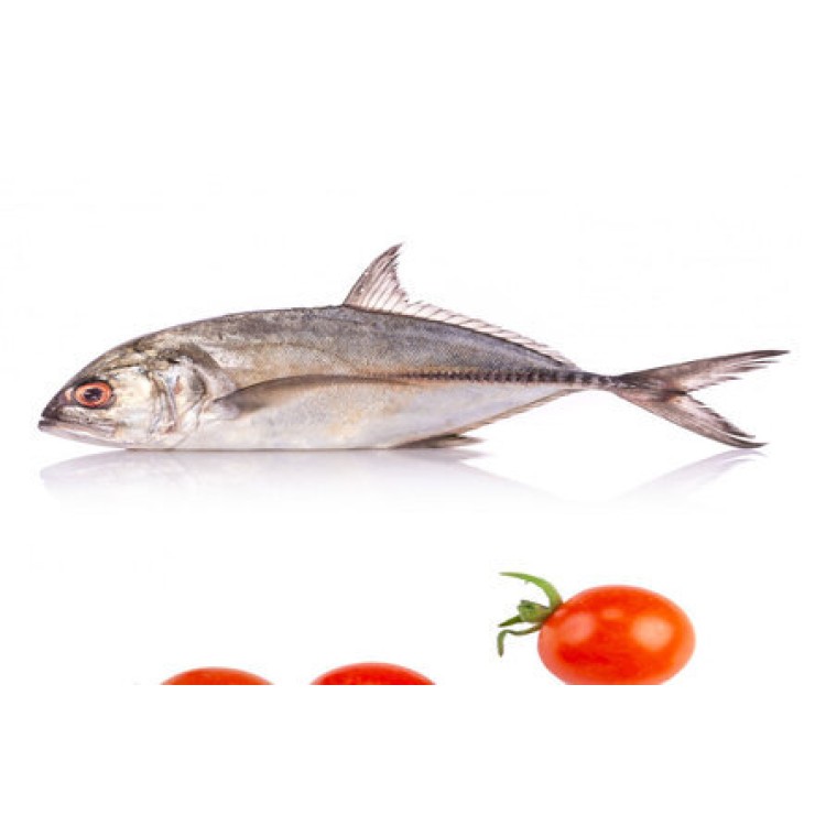 Cleaned White Fish / False Trevally / Parava / പരവ Small (400gm)