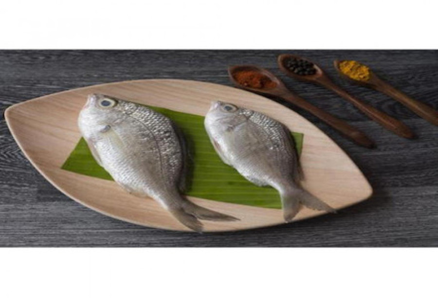 Pranjil/ Long Rayed Silver Biddy / പ്രാഞ്ഞിൽ (400gm)