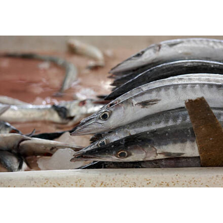 Cleaned Barracuda /  Sheelav  / ശീലാവ്മീൻ- 400gm