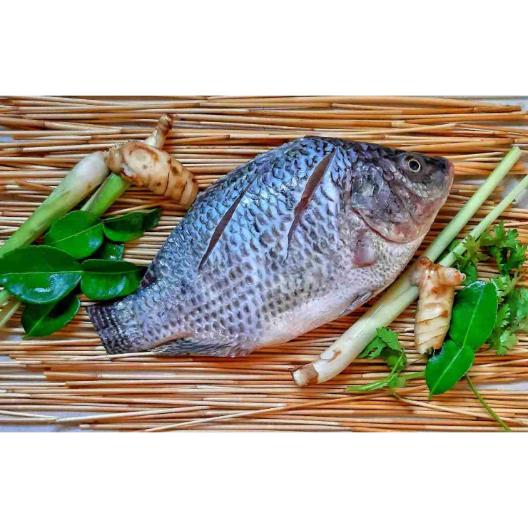 Cleaned Tilapia Small / തിലാപ്പിയ 400gm