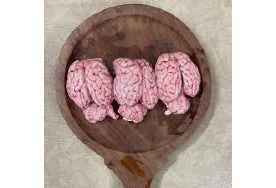Buffalo / Beef Brain per Piece