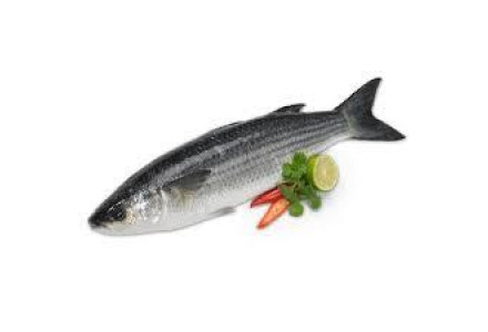 Cleaned Mullet  / Nadan Kanambu Fish - 400gm