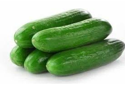 Cucumber (Ooty) / വെള്ളരിക്ക - 500gm Pack (Ozone Washed)