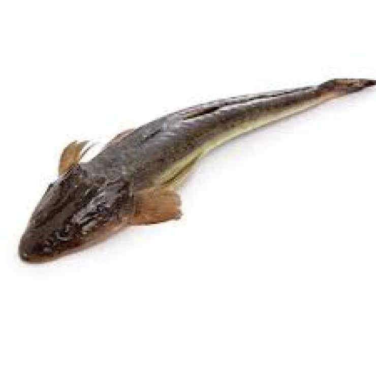 Cleaned Orathal / Indian Flathead Fish - 350gm