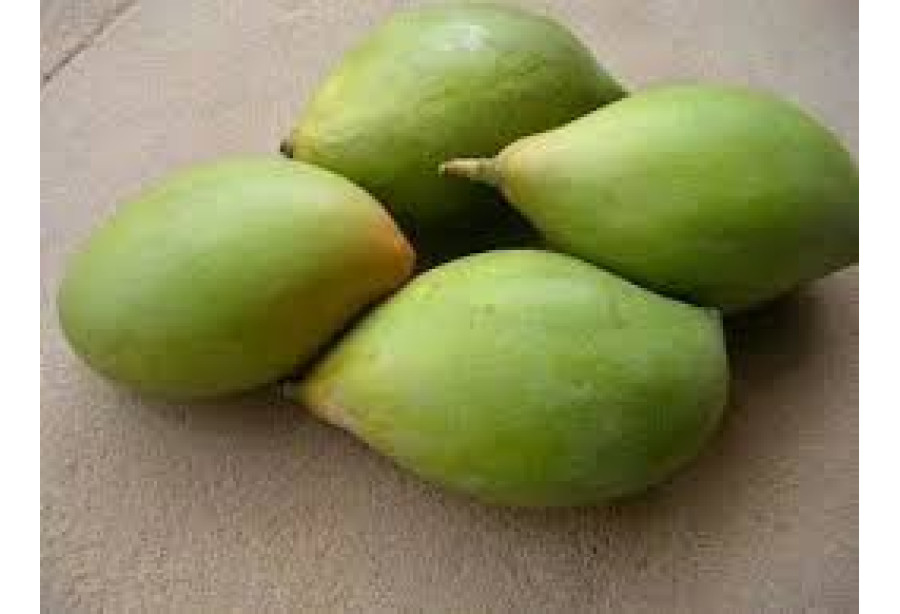 Mango - Salem / മാങ്ങ - 500gm