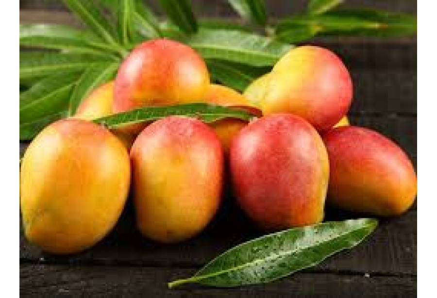 Mango - Sindhooram / മാങ്ങ - 500gm