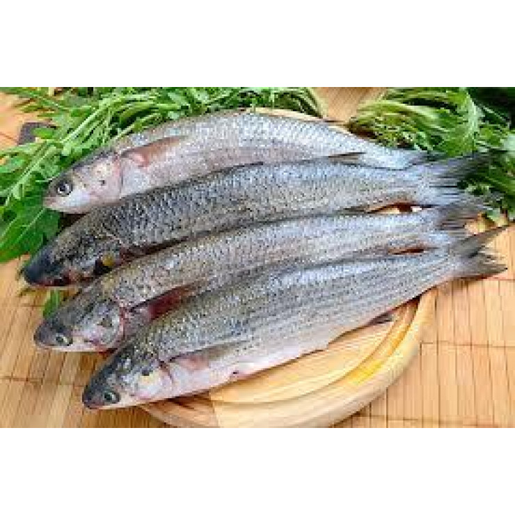 Cleaned Grey Mullet / Nadan Thirutha Fish - 400gm