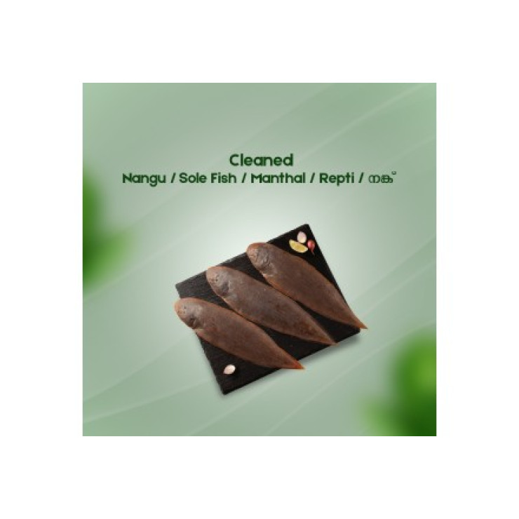 Cleaned Sole Fish/ Kayal Nangu Round/നങ്ക്‌(350gm-400gm)