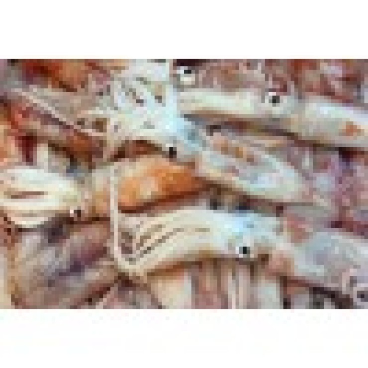 Cleaned Squid Medium / Kanava / കൂന്തൽ - (500-600gm)