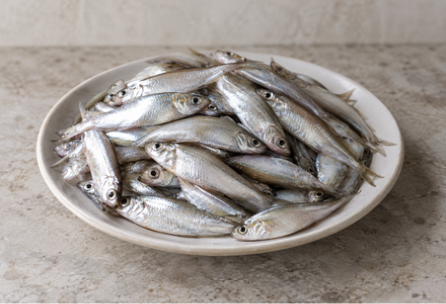 Pranjil/ Long Rayed Silver Biddy / പ്രാഞ്ഞിൽ (400gm)