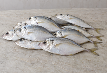Cleaned White Fish / False Trevally / Parava / പരവ Small (400gm)