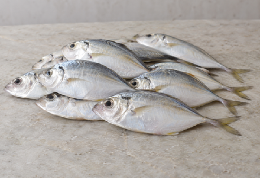 Cleaned White Fish / False Trevally / Parava / പരവ Small (400gm)