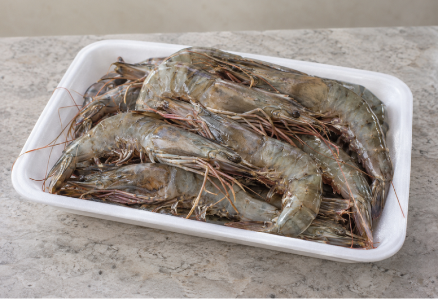Wild Prawns Big / Shell fish / പ്രൗൺസ് (500gm) - Not Cleaned