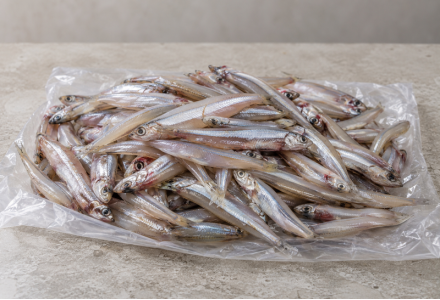 Anchovy /  Kozhuva  /  കൊഴുവമീൻ (500gm) - Not Cleaned