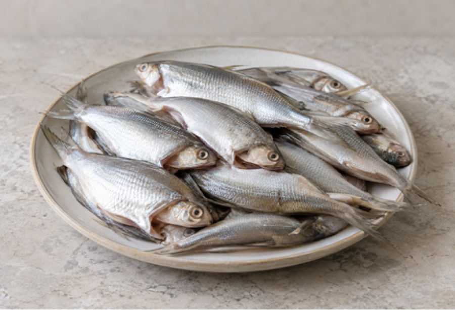 Cleaned Pranjil/ Long Rayed Silver Biddy / പ്രാഞ്ഞിൽ Large (400gm) 