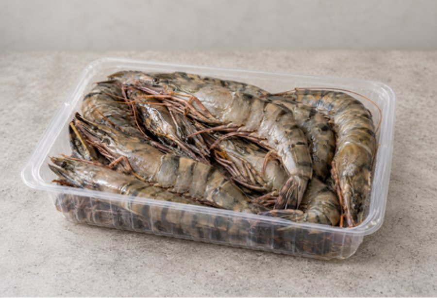 Whole Tiger Prawns - Not Cleaned (500 gm)