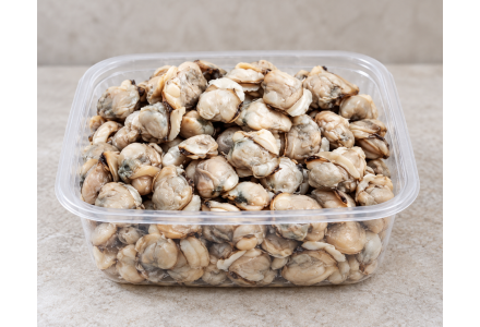 Premium Clams Large / Kakka Irachi 500 gm