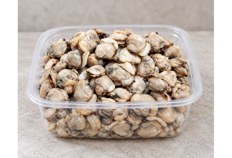 Premium Clams Large / Kakka Irachi 500 gm