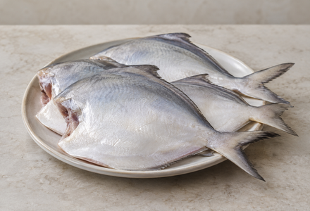 Cleaned Pomfret-White Large / ആവോലി  - 400gm