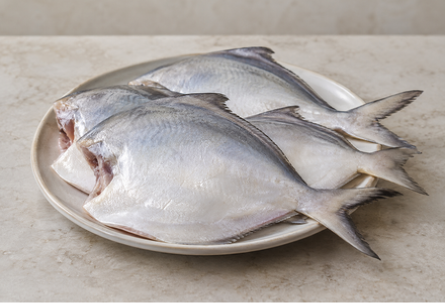 Cleaned Pomfret-White Large / ആവോലി  - 400gm