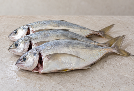Cleaned Trevally White /  Vatta / വറ്റ (400gm) 