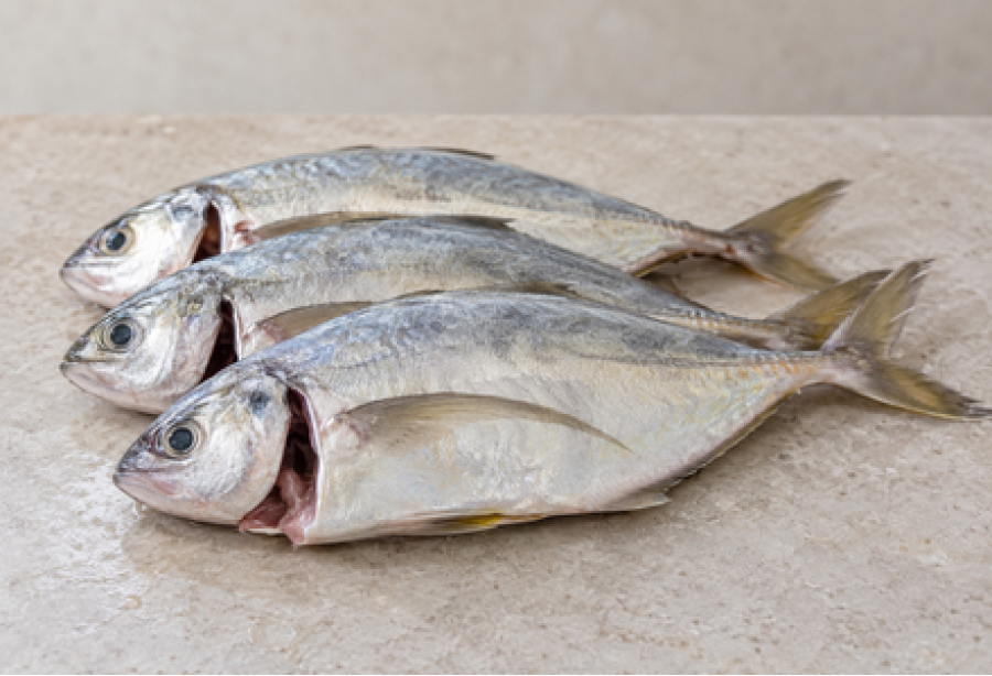 Cleaned Trevally White /  Vatta / വറ്റ (400gm) 