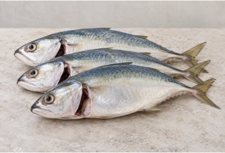Cleaned Indian mackerel Large / അയല (350-400gm) 