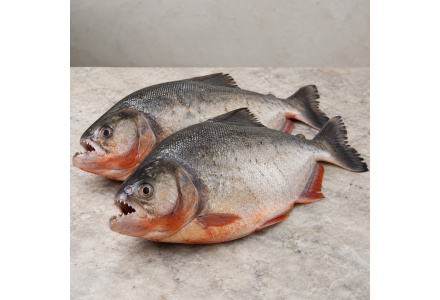 Cleaned piranha/Caribe/ Piraya/പിരാന-(700-800gm)