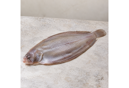Cleaned Sole Fish/Nangu/Manthal/നങ്ക്‌ Long (350gm-400gm)