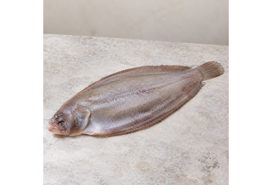 Cleaned Sole Fish/Nangu/Manthal/നങ്ക്‌ Long (350gm-400gm)