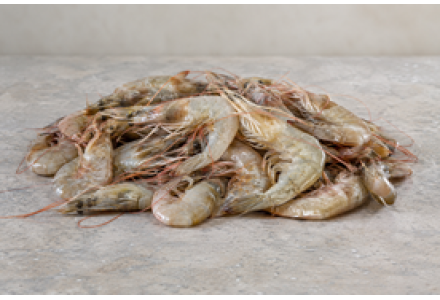 Wild Prawns Small / Shell fish / പ്രൗൺസ് (500gm) - Not Cleaned