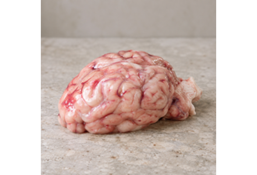 Buffalo / Beef Brain per Piece