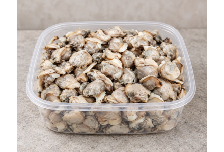 Premium Clams Medium / Kakka Irachi 500 gm
