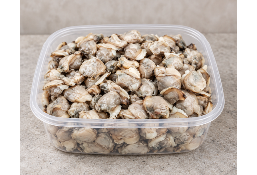 Premium Clams Medium / Kakka Irachi 500 gm