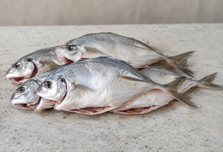 Cleaned Trevally /  Puzha Vatta / Puzha വറ്റ Medium (400gm) 