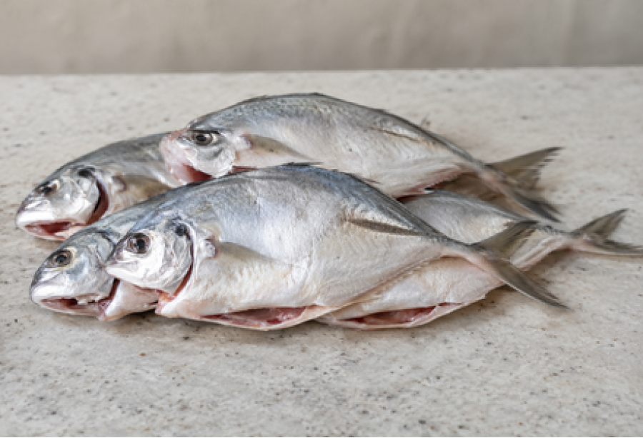 Cleaned Trevally /  Puzha Vatta / Puzha വറ്റ Medium (400gm) 