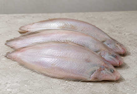 Cleaned Sole Fish/ Kayal Nangu Round/നങ്ക്‌(350gm-400gm)