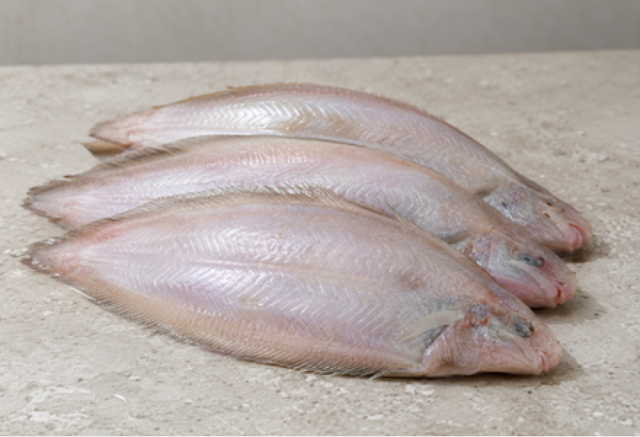 Cleaned Sole Fish/ Kayal Nangu Round/നങ്ക്‌(350gm-400gm)