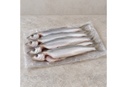 Cleaned Lady Fish Medium / Kathiran Fish - 400gm 