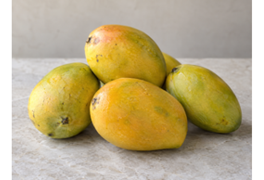 Mango - Salem / മാങ്ങ - 500gm
