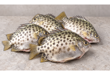 Cleaned Scat Fish Small / Nachakka - 350gm
