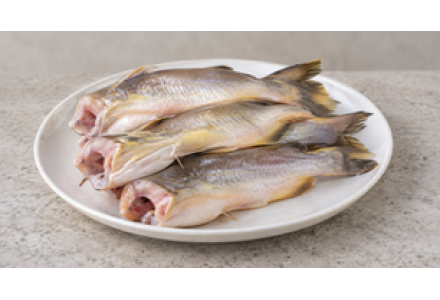 Cleaned Sun / Yellow Cat Fish Small / Manja koori - 400gm