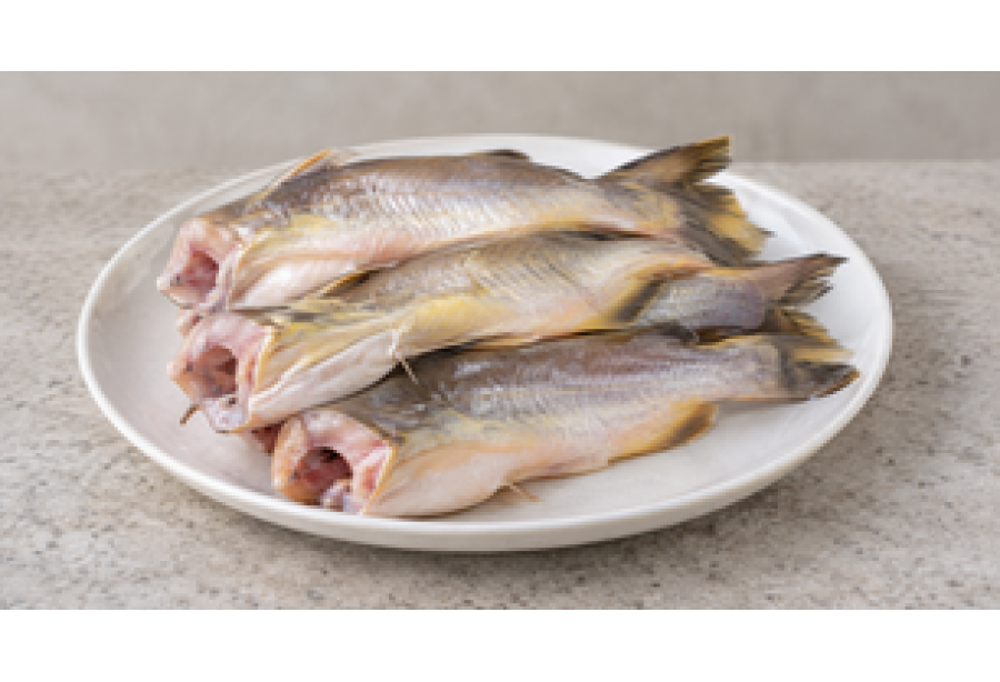 Cleaned Sun / Yellow Cat Fish Small / Manja koori - 400gm