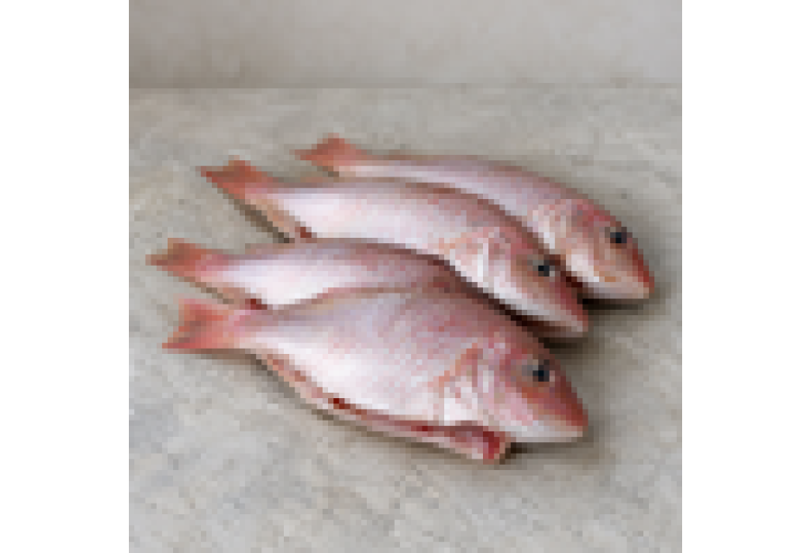 Cleaned Pink Perch Medium / Kilimeen / കിളിമീൻ (300gm) 