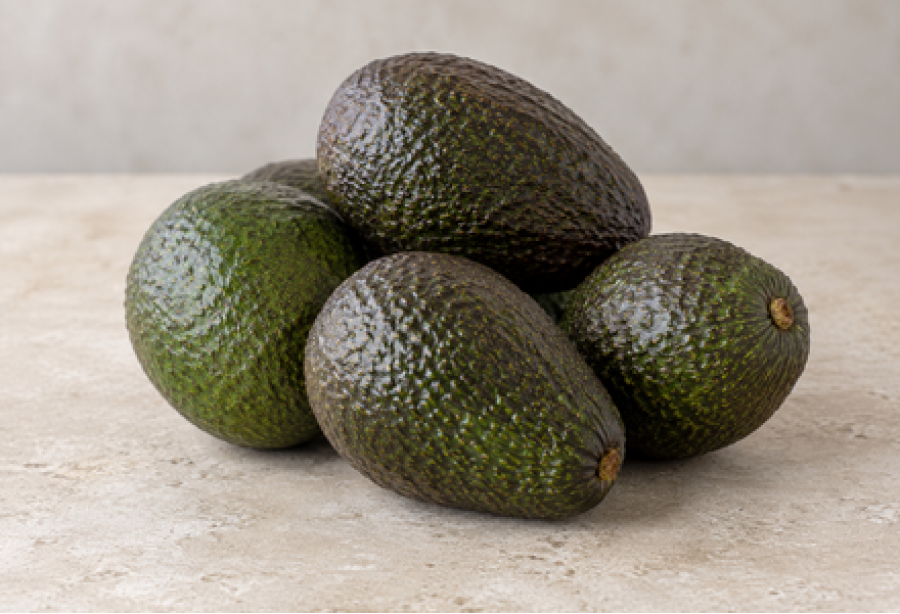 Avocado / ButterFruit / ബട്ടർഫ്രൂട്ട് - 500 gm