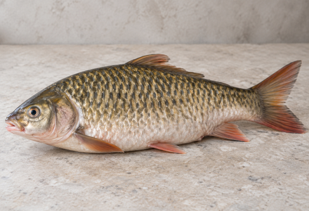 Mahseer / കുയിൽമീൻ / Kuyil Meen (SEA) - 500 gm
