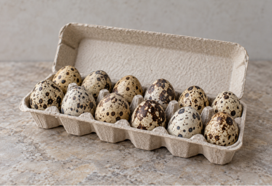 Quail Eggs  / Kada Mutta / കാട മുട്ട
