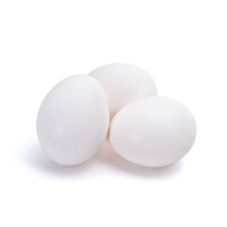 Leghorn Egg / കോഴിമുട്ട (Pack of 6)