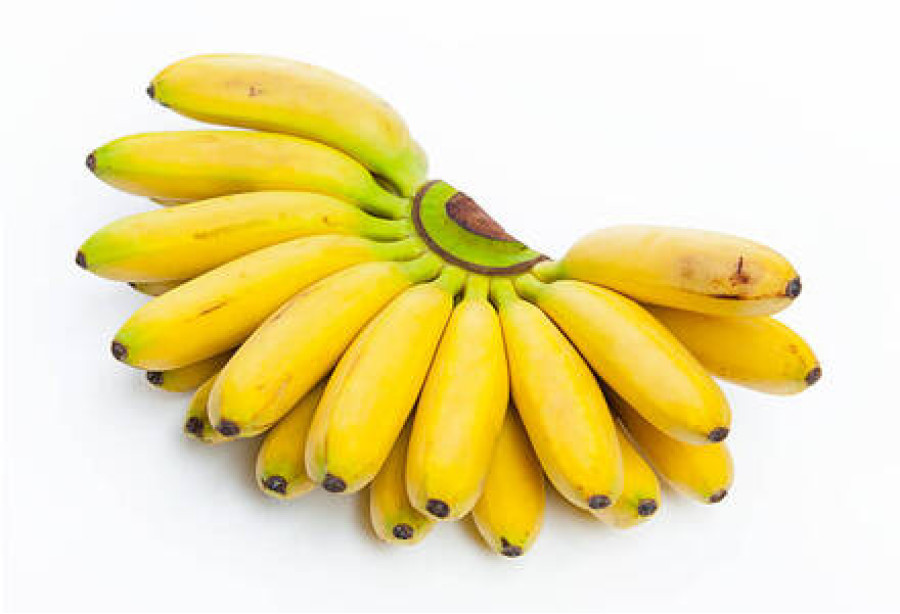 Njalipovan / ഞാലിപൂവൻ / banana - 500gm